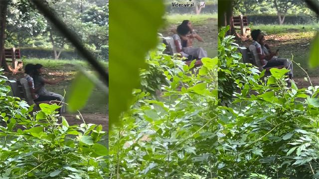 Delhi Teen Couple In Park Viral Xx Video – Porn Video Free